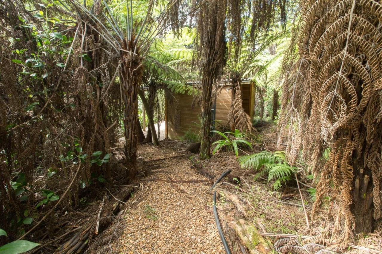 Karaka Sanctuary With Spa Pool By Waiheke Unlimited Oneroa Ruang foto
